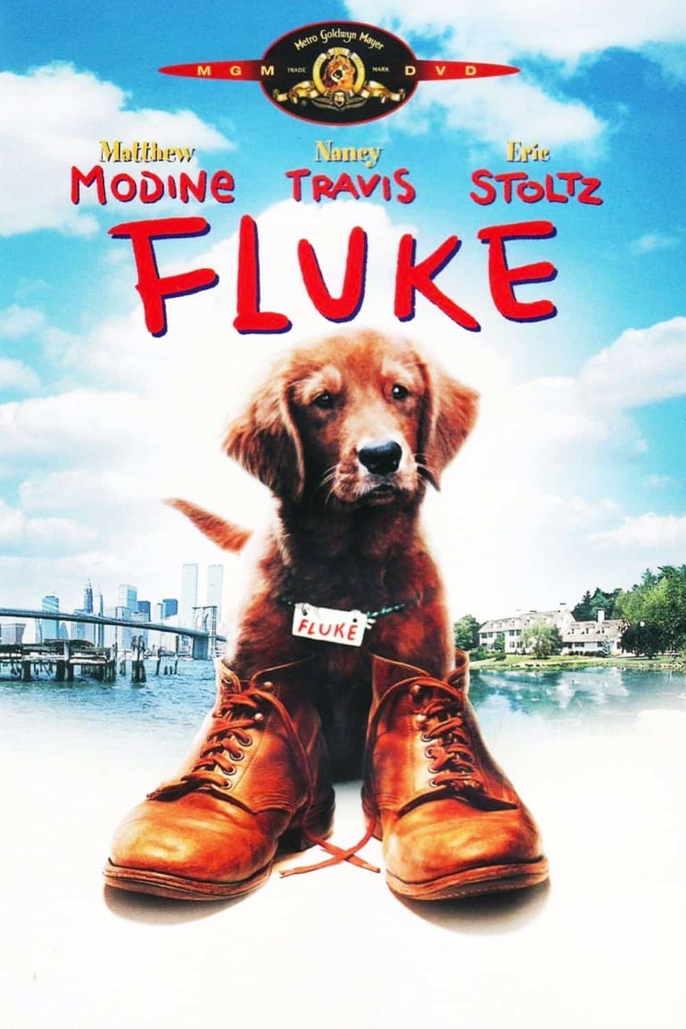 ดูหนังออนไลน์ Fluke 1995 เกิดใหม่กลายเป็นหมา